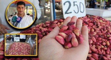 Şanlıurfa'da fıstık, üreticiyi üzdü tüketiciyi sevindirdi!