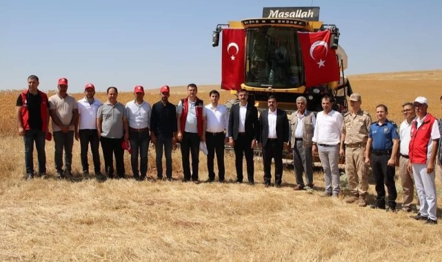 Şanlıurfa'da o bitkiyle kuraklığın önüne geçiliyor