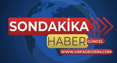Şanlıurfa'da otomobilin çarptığı kişi hayatını kaybetti