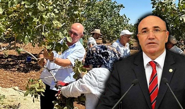 Tanal'da takdir edilecek davranış