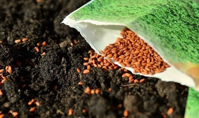Tarla ve bahçe bitkilerinde 64 yerli tohum çeşidi