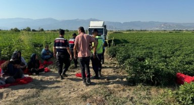 Tarlada uyurken üzerinden kamyon geçen çocuk öldü