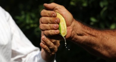 Temmuz ayının zam şampiyonu limon oldu!
