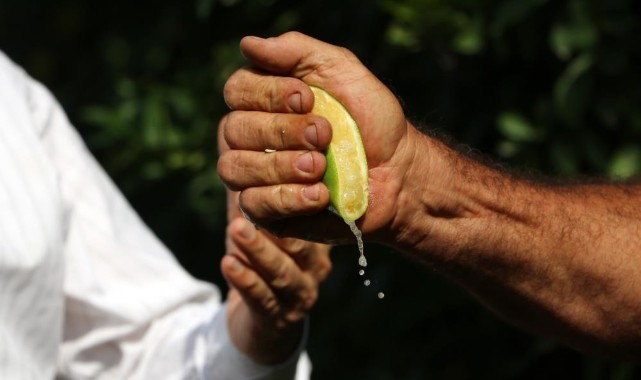 Temmuz ayının zam şampiyonu limon oldu!