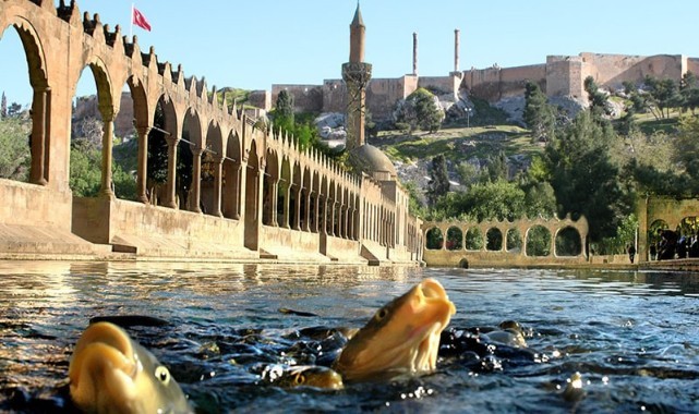 Ünlü şarkıcı Teoman'dan çarpıcı Suriyeli göçmen açıklaması