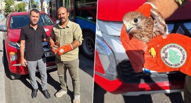Urfa’da bitkin halde bulundu! Ekipler teslim aldı