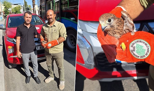 Urfa’da bitkin halde bulundu! Ekipler teslim aldı