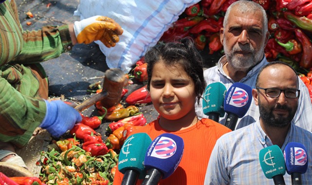 Urfa'da isotu için tatlı telaş başladı!