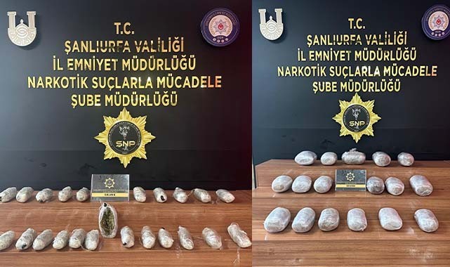 Urfa polisinden büyük başarı! 29 kilo skunk ele geçirildi