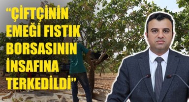 Urfa Vekili Öcalan, Fıstık Üreticilerinin Sorunlarını Meclis'e Taşıdı