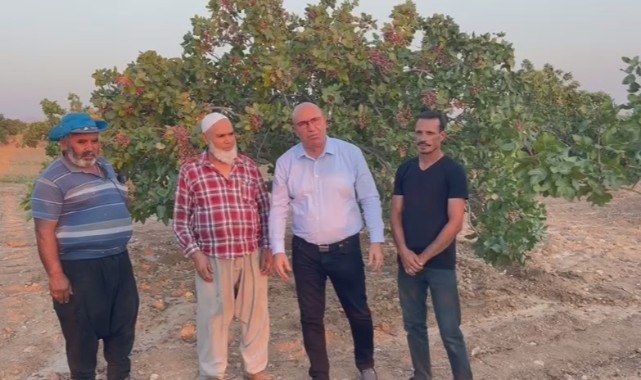 Vekil Tanal, fıstık üreticisinin sesi oldu