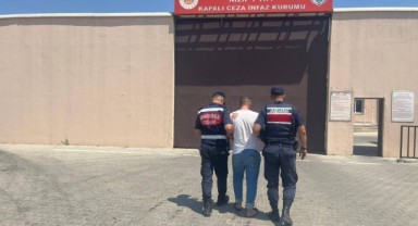 Yeşil altın hırsızlığı yakayı ele verdirdi
