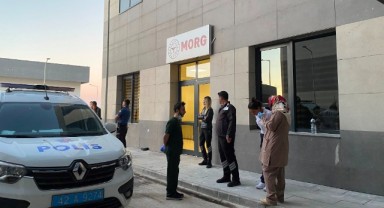Yoldan geçerken otomobilin çarptığı genç kız öldü