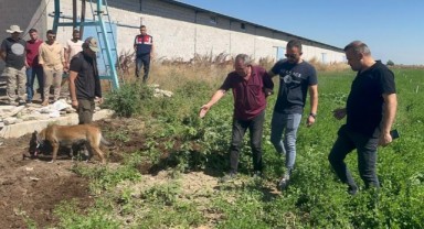Adana'da dayısını öldürüp gömdü başında ağladı