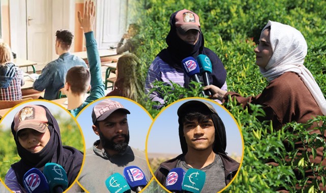 Arkadaşları okul sıralarında onlar ise tarlada