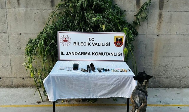Evinin bahçesinde kenevir yetiştirmişti! Yakalandı
