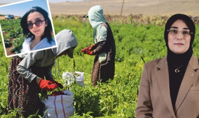 Göktepeli'den Yazmacı'ya tepki:  "kendi şehrinize sahip çıkın!"