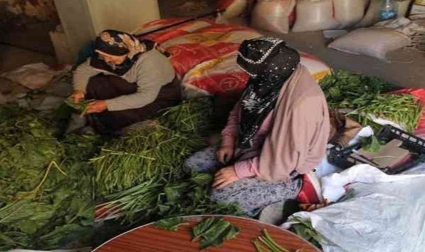 kadınların kışlık konserve, turşu hazırlıkları başladı