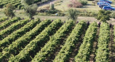 Korkunç olay: Çiftçi öldürüldü, 2 kişi tutuklandı