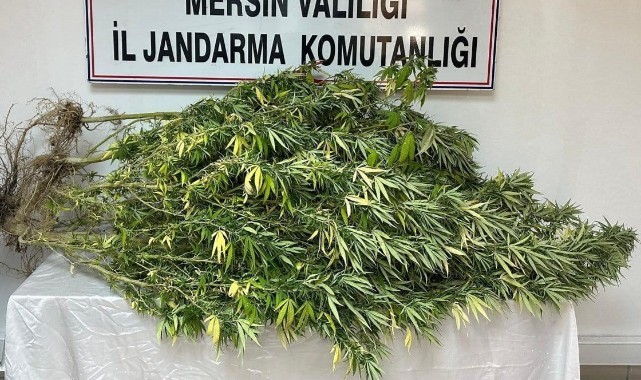 Mersin'de uyuşturucu operasyonu: 4 gözaltı