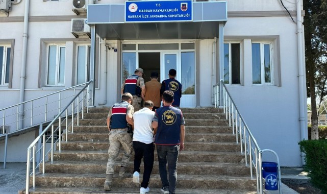 Şanlıurfa'da dolandırıcı operasyonu! 3 gözaltı