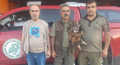Şanlıurfa’da elektrik akımına kapıldı! Tedavi altına alındı