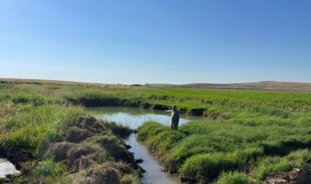 Şanlıurfa'da oluşan dev obruklar çiftçileri korkutuyor