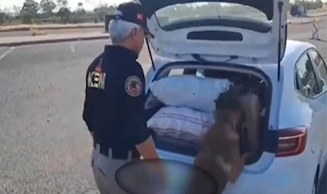 Şanlıurfa dahil 42 ilde dev operasyon! 2️2️7️ yakalanma