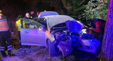Ağaca çarpan otomobilde hayatını kaybetti