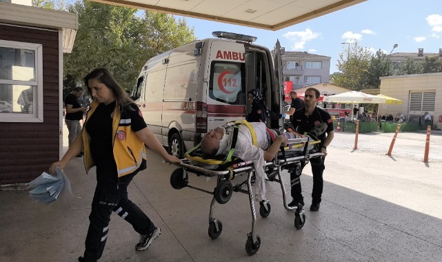 Aynı ağaçtan düşen amca ve yeğen yaralandı