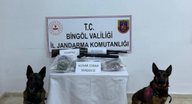 Bingöl’de uyuşturucudan 7 şüpheli gözaltına alındı