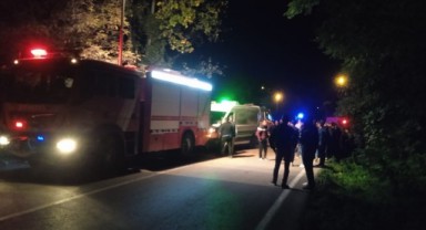 Kamyondan devrilen tomruklar otomobilin üzerine devrildi: 1 ölü