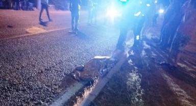 Milas’ta trafik kazası: 1 ölü