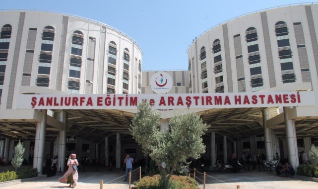 Şanlıurfa'da sıvacı ustası elektrik akımına kapılarak can verdi
