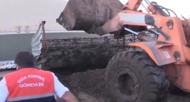Şanlıurfa'da tonlarca bozuk ceviz içi ele geçirildi