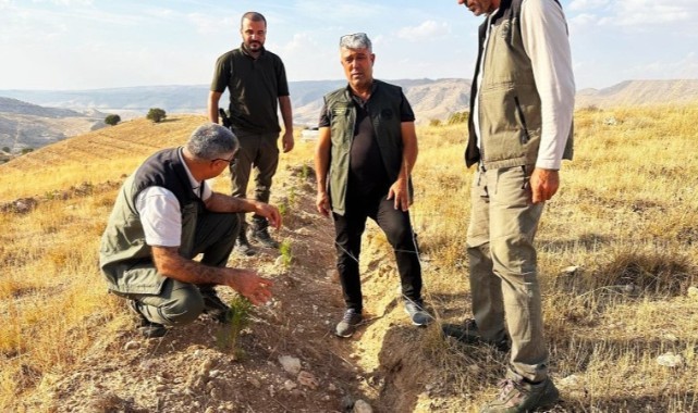 Şanlıurfa'daki heyet Batman'da incelemelerde bulundu