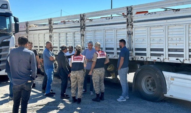 Sevk belgesi olmayan 384 adet hayvan kontrole takıldı