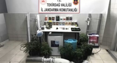 Uygulamada uyuşturucu, işyerinde uyuşturucu çadırı ele geçirildi