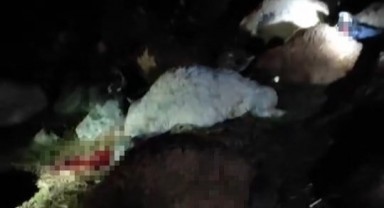 Üzerine yıldırım düşen 30 hayvan telef oldu