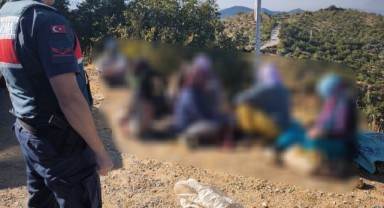 Yarım ton incir çalan hırsızlar jandarmaya takıldı