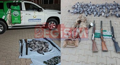 Ceylanpınar'da 61 güvercini kaçak avlayan şahıslara 224 bin TL ceza!
