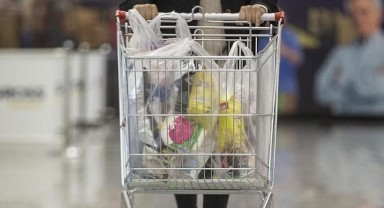 Plastik Poşet 1,5 lirayı geçebilir!