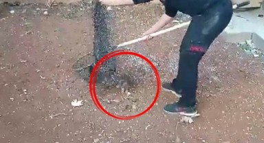 Şanlıurfa'da boşluğa düştü! Ekipler kurtardı