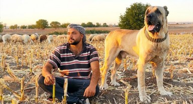 Şanlıurfa'da dernek başkanı hayal kırıklığına uğradı