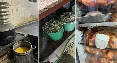 Şanlıurfa’da mide bulandıran 3 işletmeye para cezası!