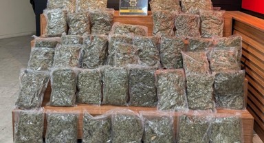 Şanlıurfa’da narkotik operasyonu! 20 kilo ele geçirildi