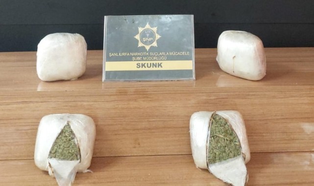 Şanlıurfa'da uyuşturucu operasyonu! 2,5 kilo skunk ele geçirildi