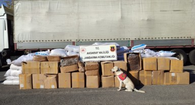 Tırın dorsesinde 1 ton 734 kilo kaçak tütün ele geçirildi