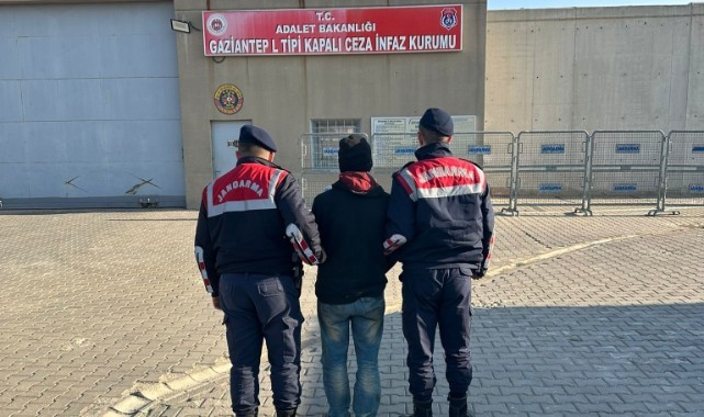 Zeytin hırsızları yakayı ele verdi