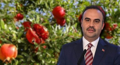 Bakan Kacır tescilli ürünleri açıkladı! Şanlıurfalılar tepki gösterdi